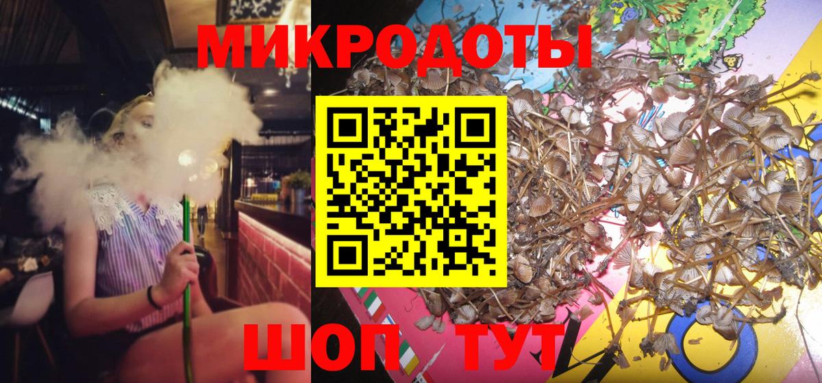 Псилоцибиновые грибы GOLDEN TEACHER Сланцы