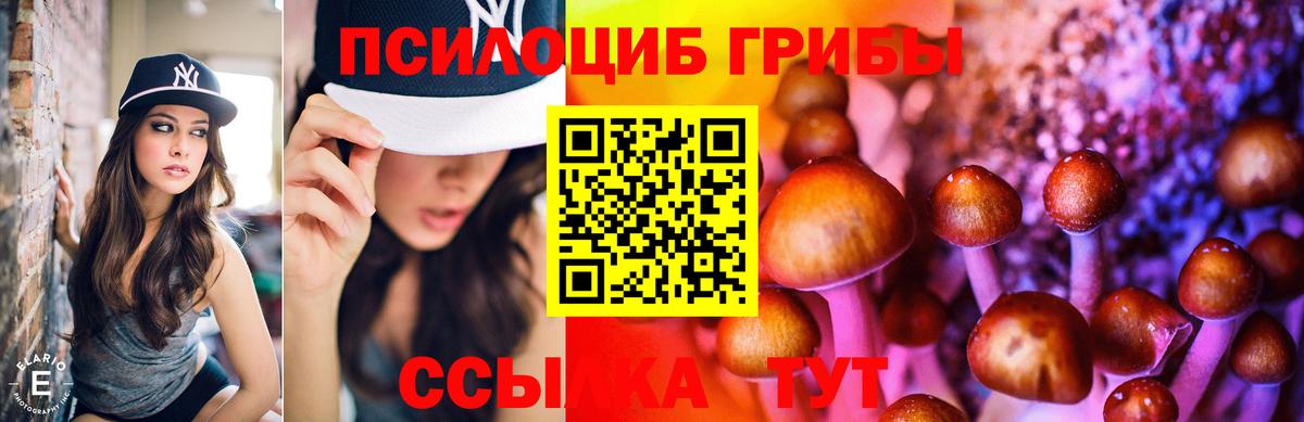 Галлюциногенные грибы MAGIC MUSHROOMS  Вход с VPN  Сланцы  Псилоцибиновые грибы мицелий 