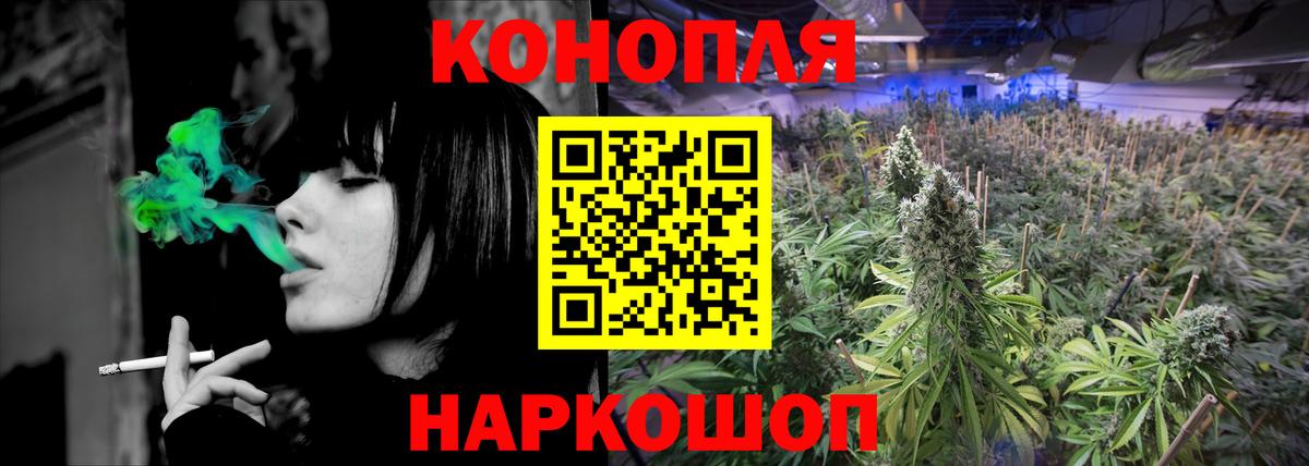 Бошки Шишки планчик  Канабис LSD WEED  Каннабис марихуана  Сланцы  Вход с VPN  Конопля конопля 